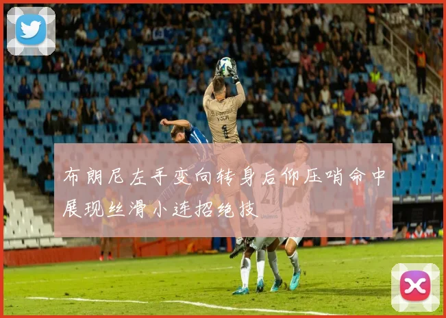 布朗尼左手变向转身后仰压哨命中展现丝滑小连招绝技