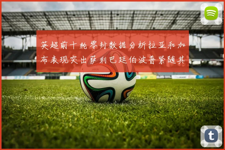 英超前十轮零封数据分析拉亚和加布表现突出萨利巴廷伯波普紧随其后
