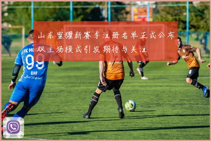 山东蜜獾新赛季注册名单正式公布双主场模式引发期待与关注